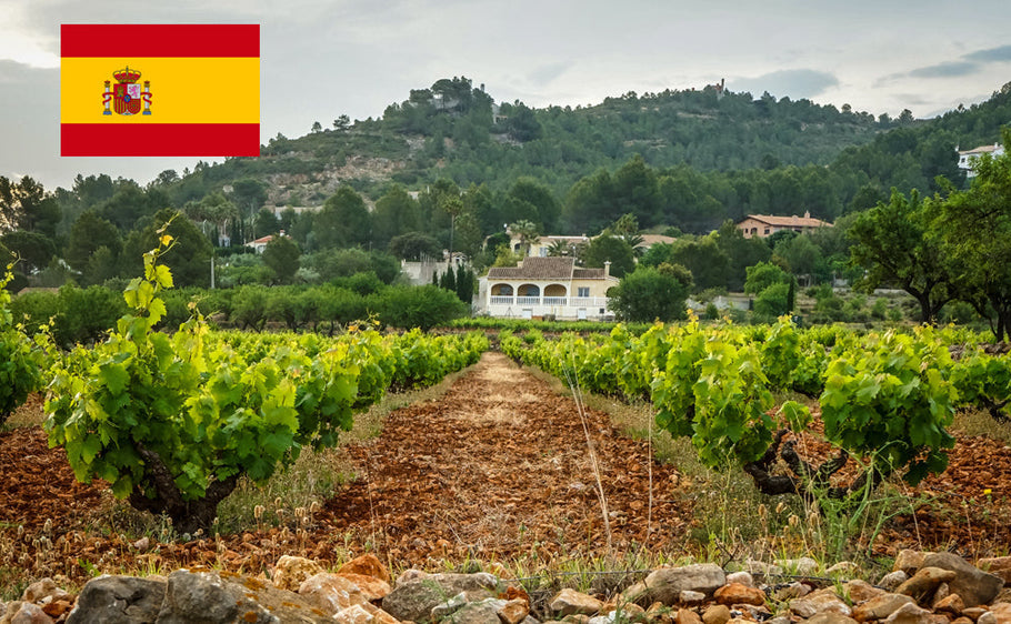 Carteira internacional na Espanha